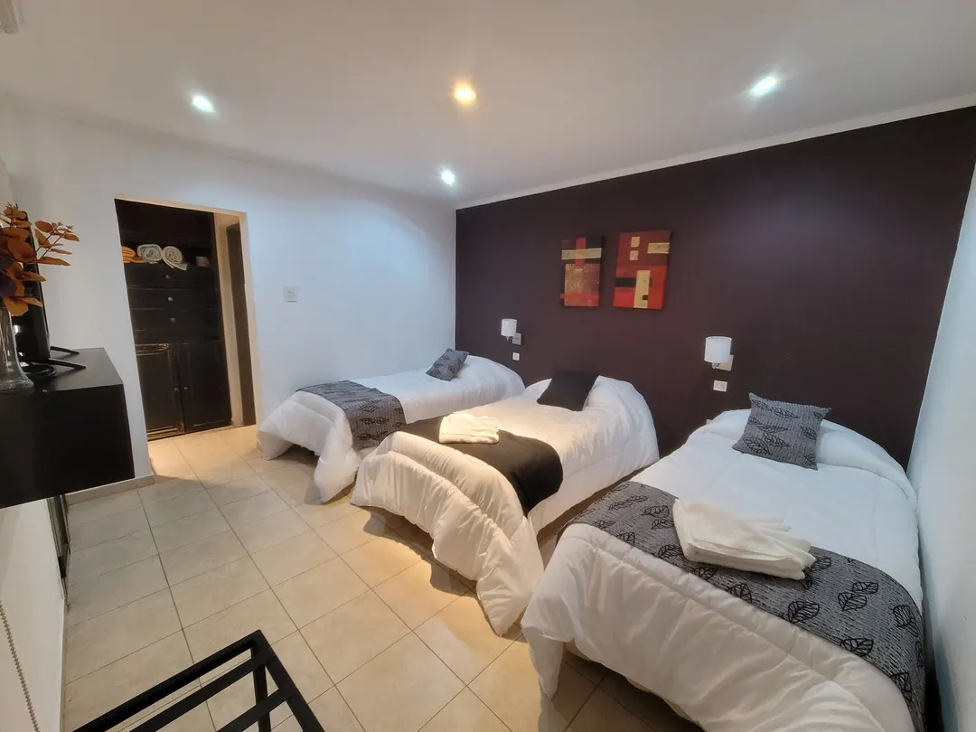 Tres camas individuales con almohadones grises, pared oscura y placard junto al baño