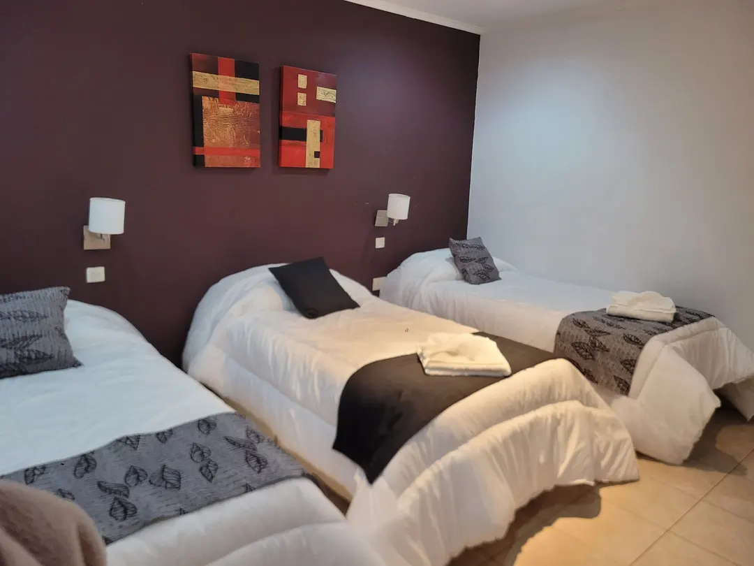 Tres camas individuales con almohadones grises frente a una pared oscura con dos cuadros